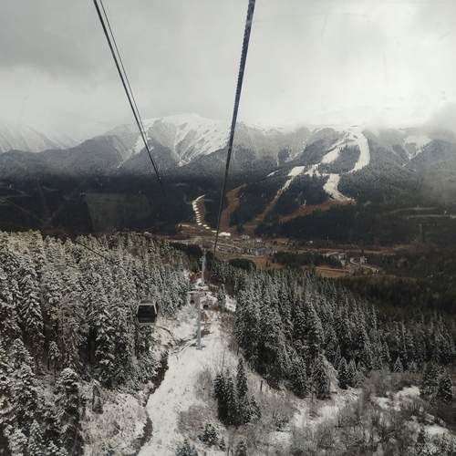 Photo #12071798