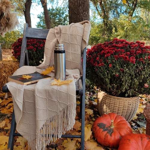 Photo #12071799