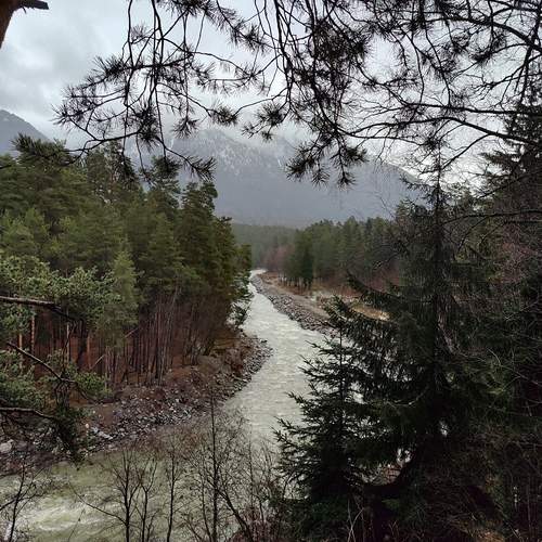Photo #12071800
