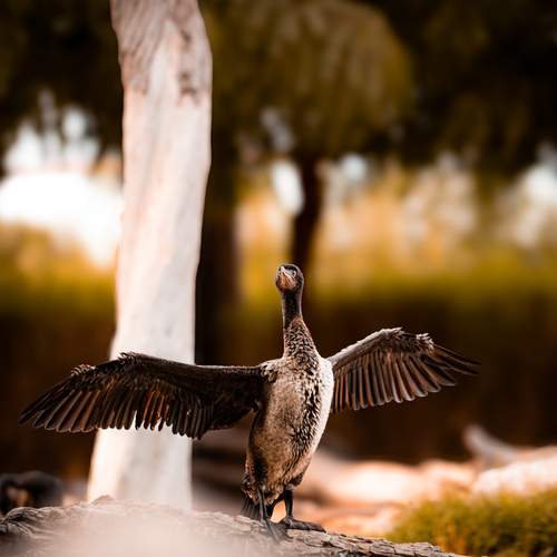 Photo #12072058