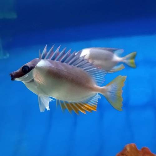 Photo #12072277