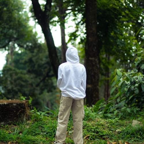 Photo #12072397