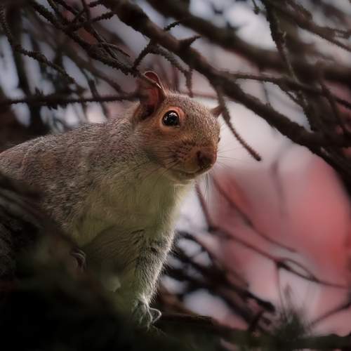 Photo #12072466