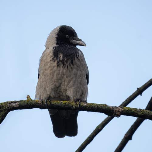 Photo #12072467