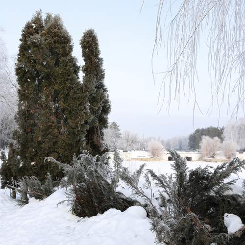 Photo #12072500