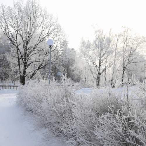 Photo #12072502