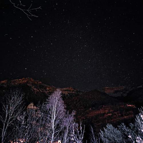 Photo #12072582