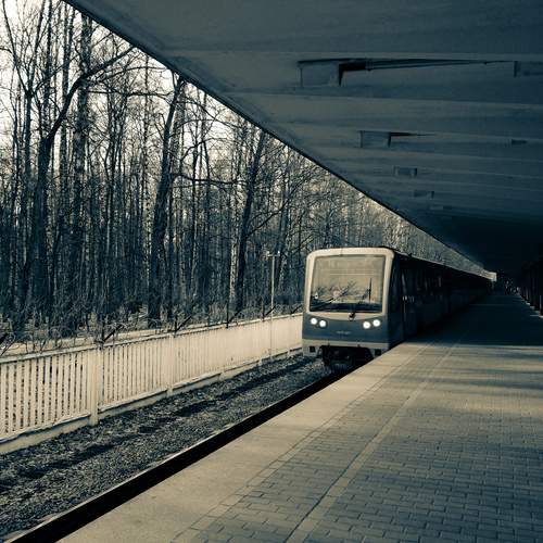 Photo #12072620