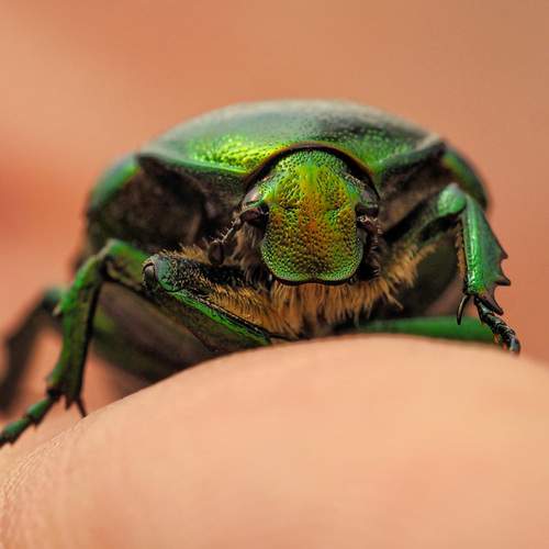 Photo #12072937