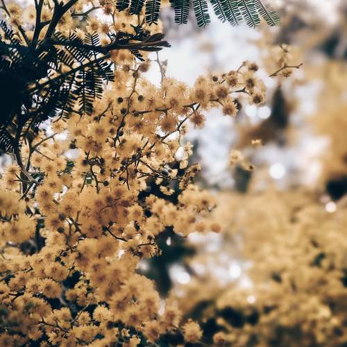 Photo #12073144
