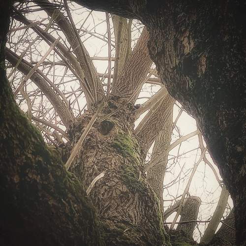 Photo #12073149