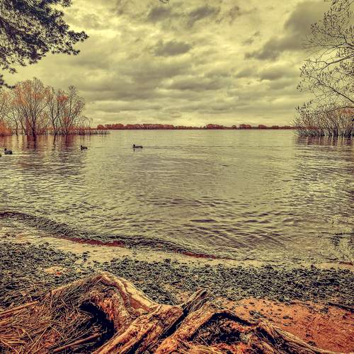Photo #12073177