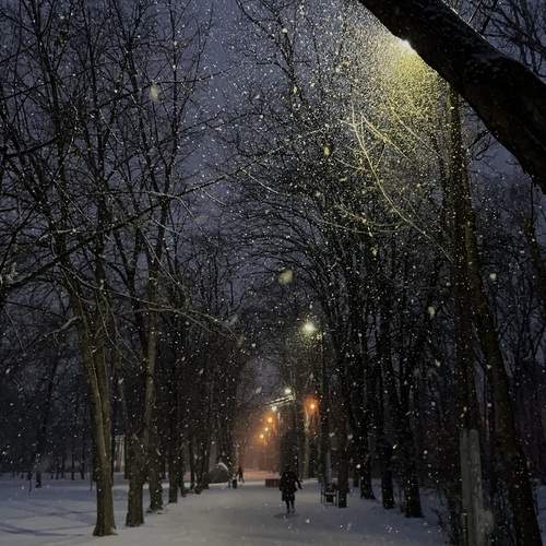 Photo #12073193