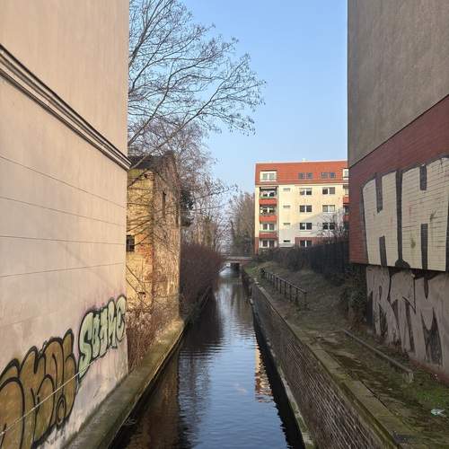 Photo #12073302