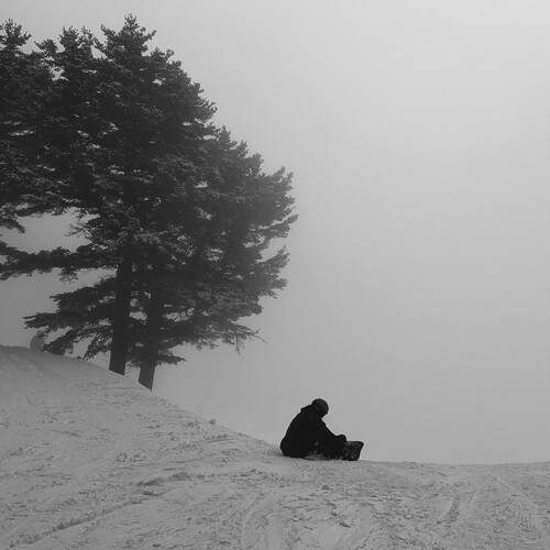 Photo #12073326