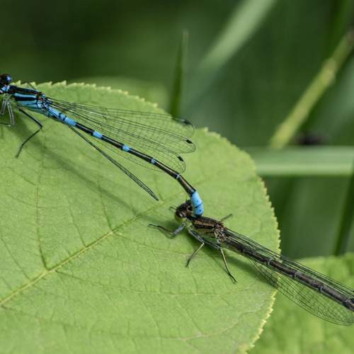 Photo #12073356