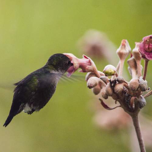 Photo #12073376