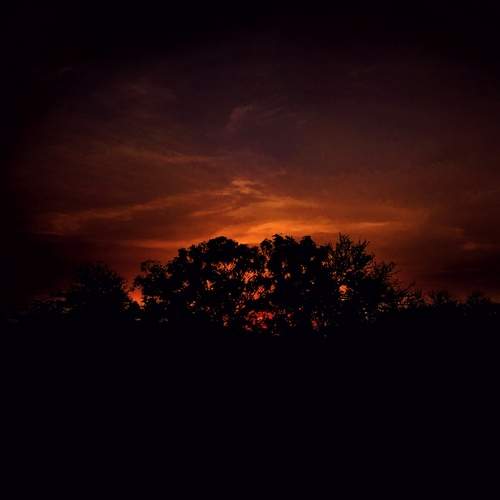 Photo #12073480