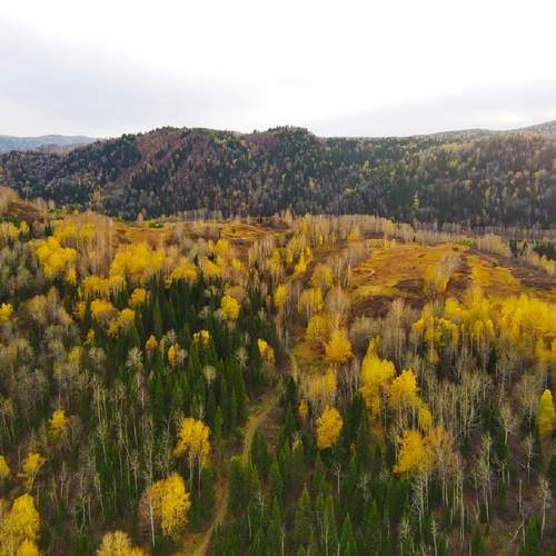 Photo #12073486