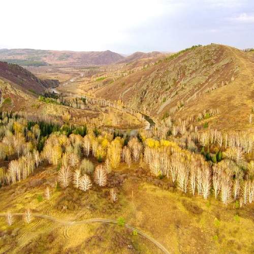 Photo #12073487