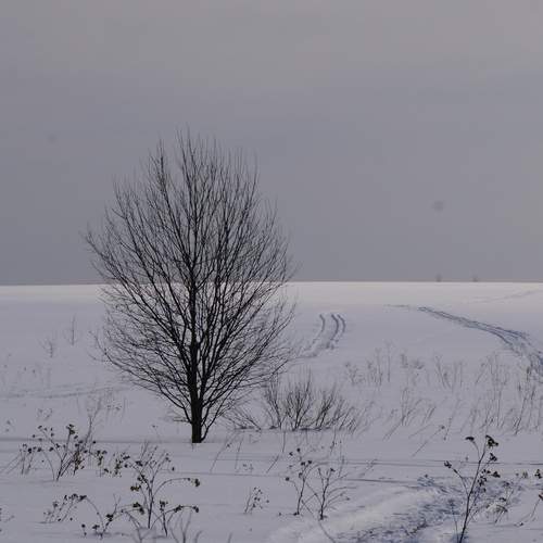 Photo #12073502