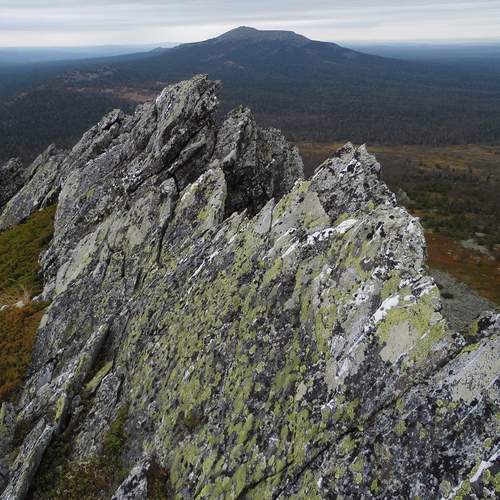 Photo #12073507