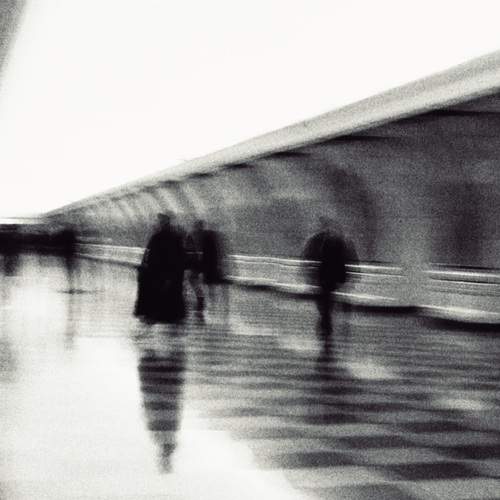 Photo #12073720
