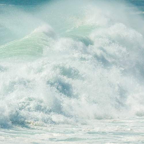 Photo #12073742