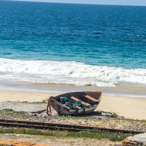 Photo #12073743