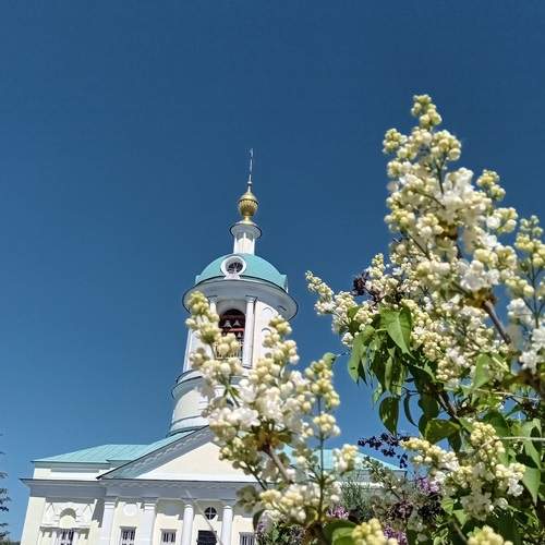 Photo #12073859