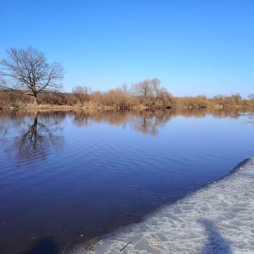 Photo #12073980