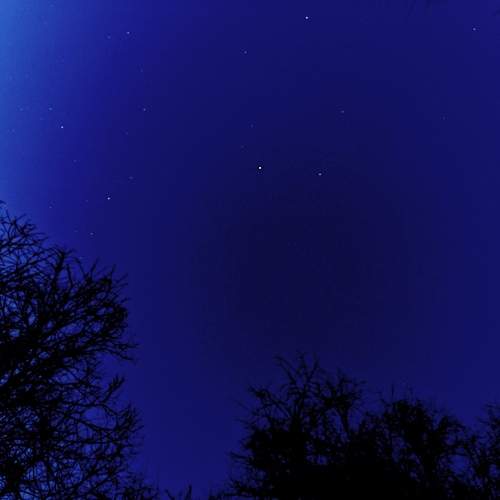 Photo #12074097