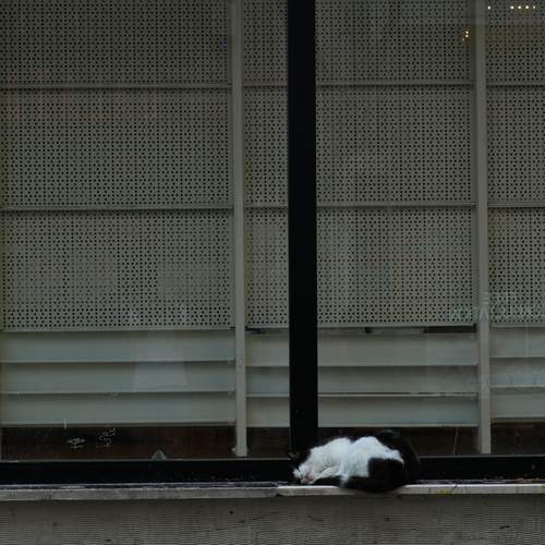 Photo #12074424