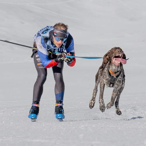 Фотография #12075021