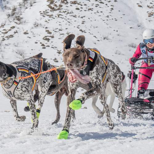 Фотография #12075023