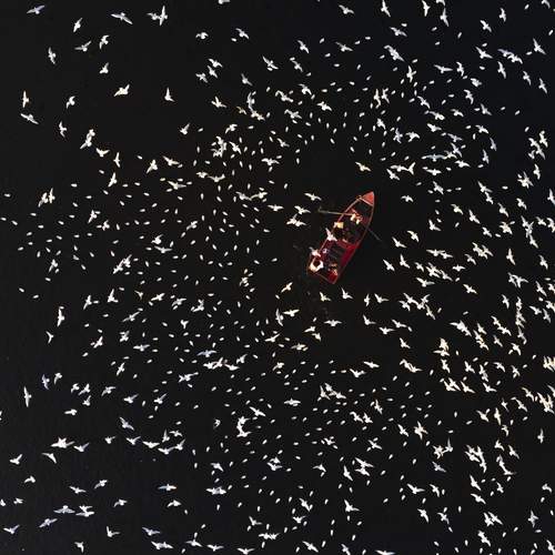 Photo #12075062