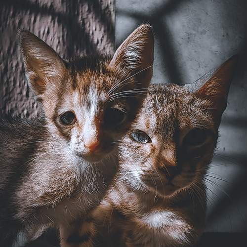 Photo #12075086