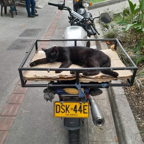 Descanso dominical