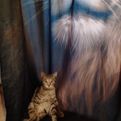Photo #12075442
