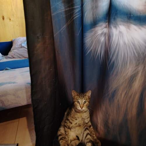 Photo #12075456