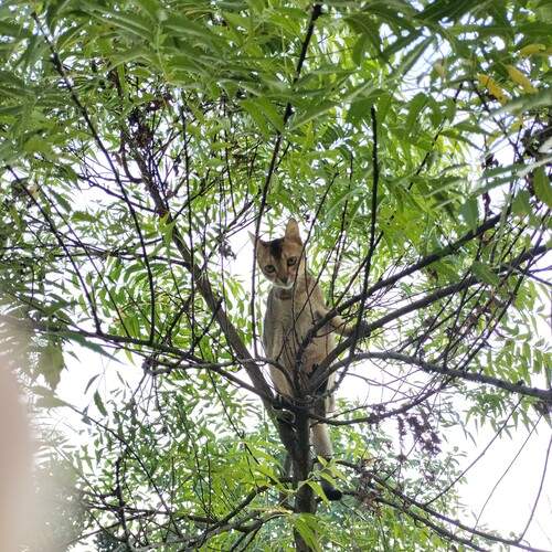 Photo #12075527