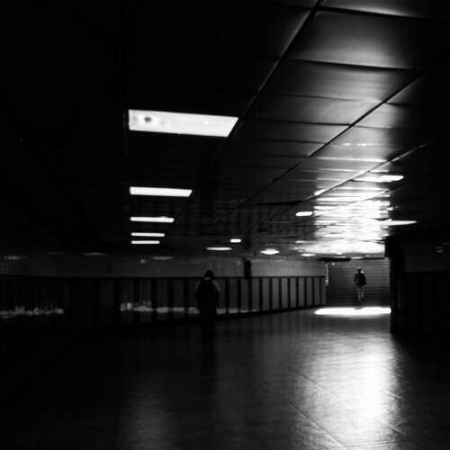 Photo #12075647