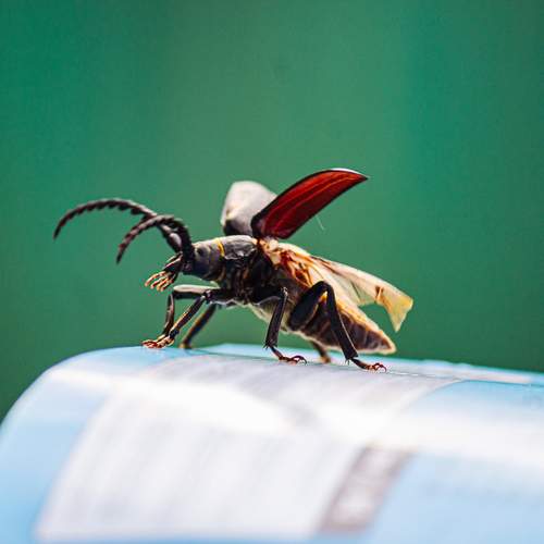 Photo #12075766