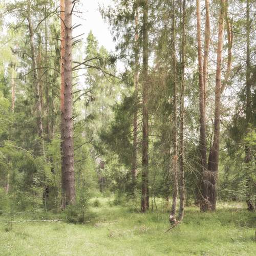 Photo #12075784