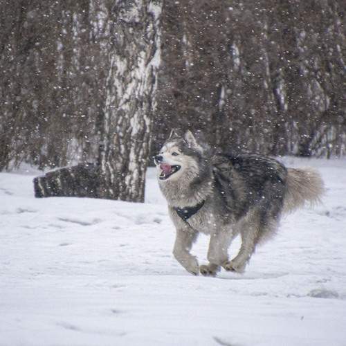 Photo #12075837