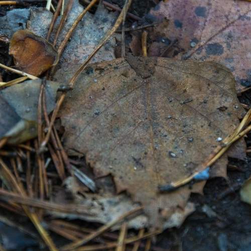 Photo #12075843