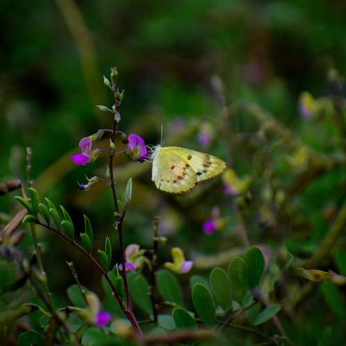 Photo #12076147