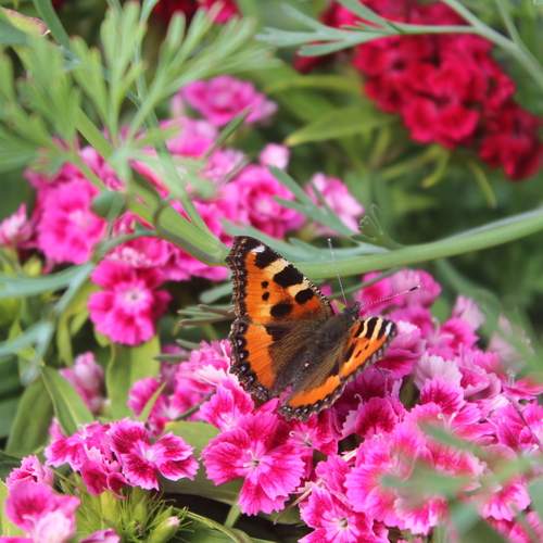 Photo #12076208
