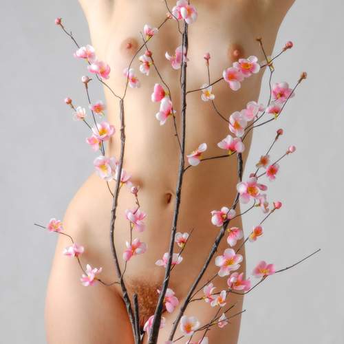 Photo #12076288