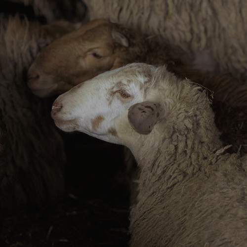 Photo #12076434